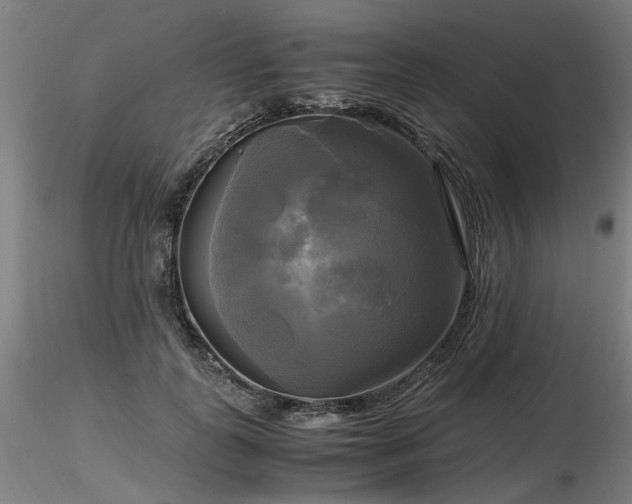X0000116800747200912181317
