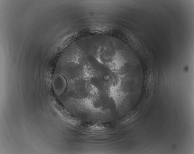 X0000116800749200912181317