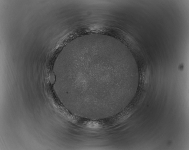 X0000116800751200912181317