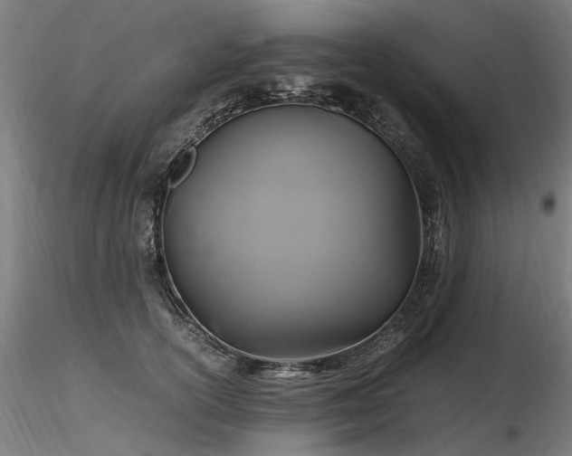 X0000116800754200912181317