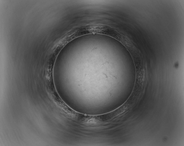 X0000116800755200912181317