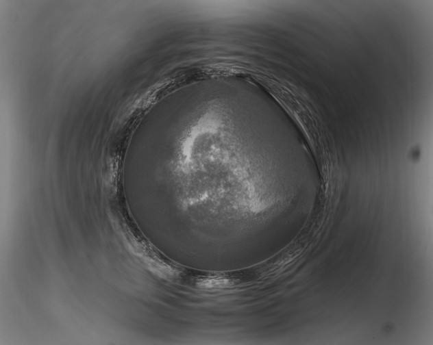 X0000116800759200912181317
