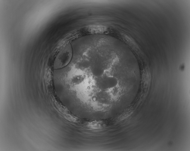 X0000116800761200912181317