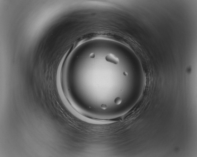X0000116800762200912181317