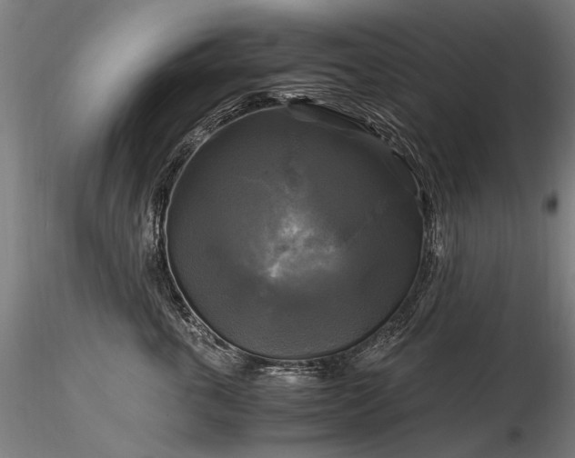 X0000116800763200912181317
