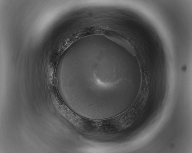 X0000116800767200912181317