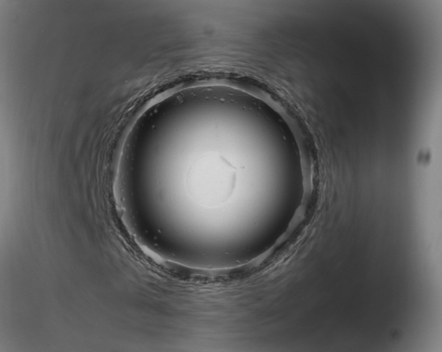 X0000116800769200912181317