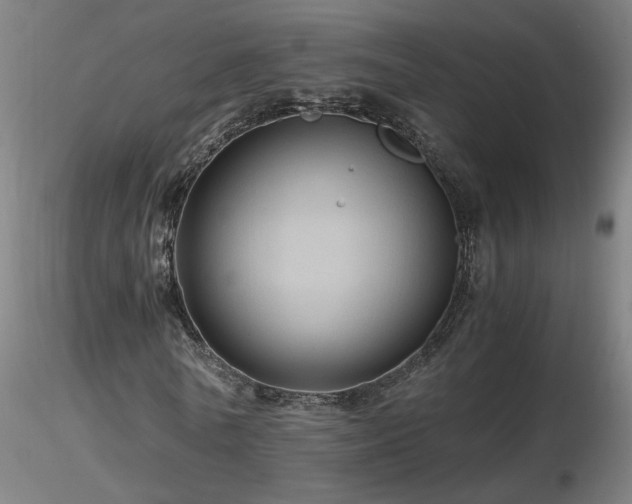 X0000116800770200912181317