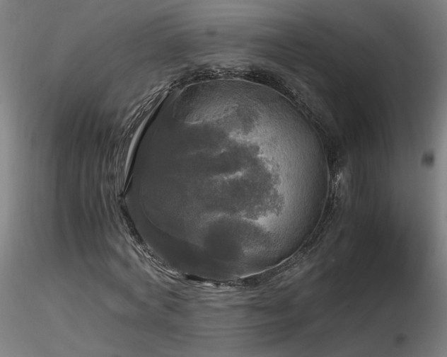 X0000116800772200912181317