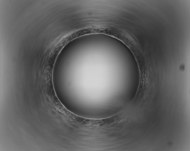 X0000116800773200912181317