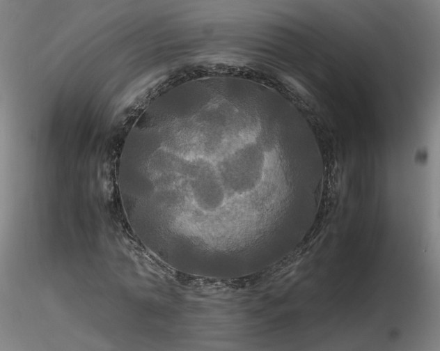 X0000116800774200912181317