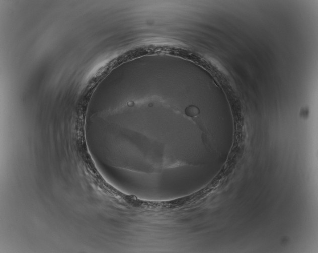X0000116800775200912181317