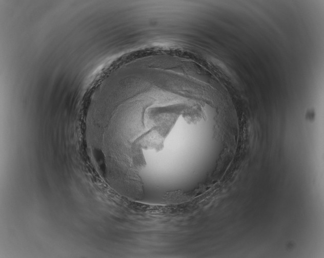 X0000116800776200912181317