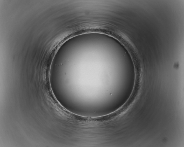 X0000116800777200912181317