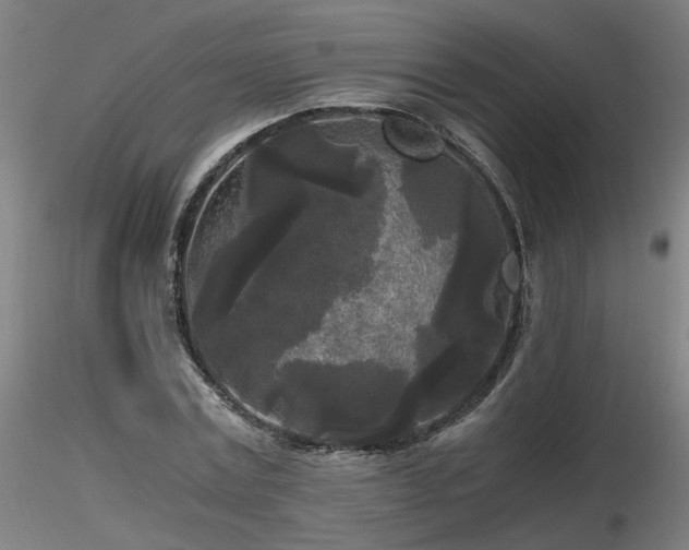 X0000116800779200912181317