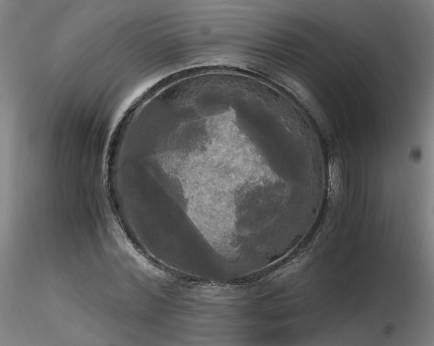 X0000116800780200912181316