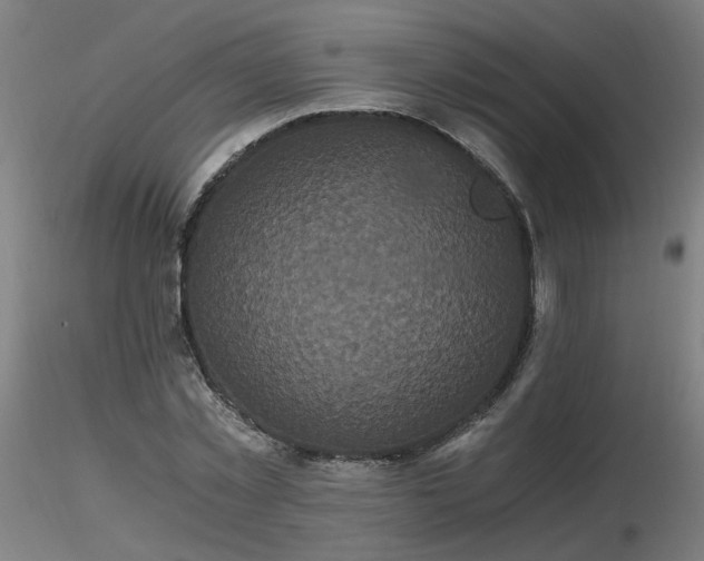 X0000116800781200912181316