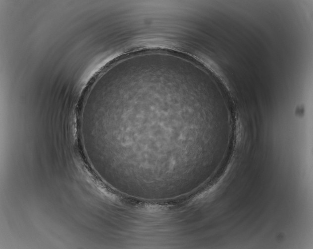 X0000116800782200912181316