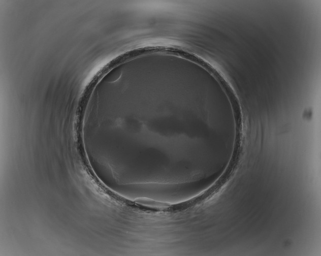X0000116800783200912181316