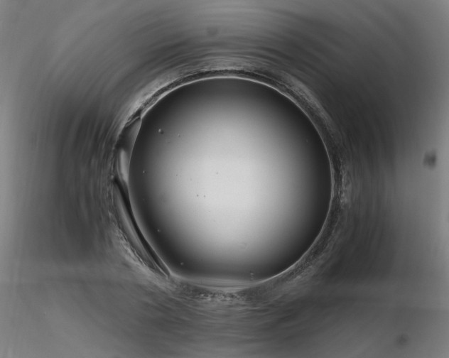 X0000116800786200912181316