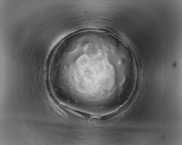 X0000116800787200912181316