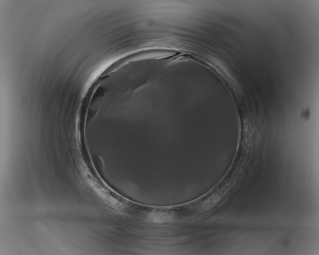 X0000116800788200912181316
