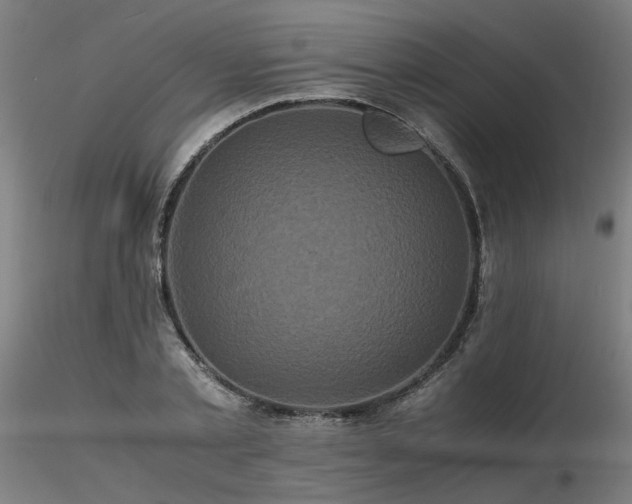 X0000116800789200912181316
