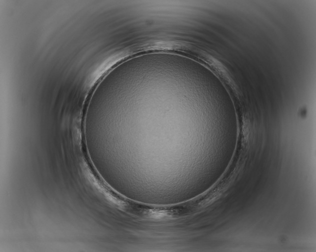 X0000116800794200912181316
