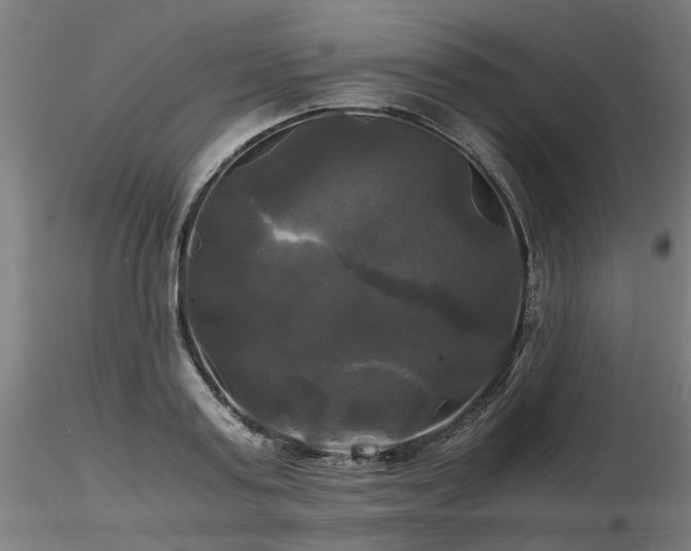 X0000116800795200912181316