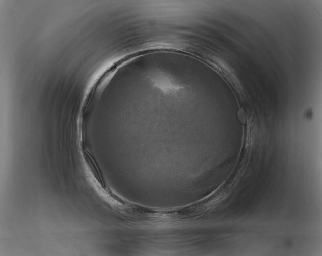 X0000116800796200912181316