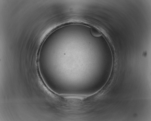 X0000116800799200912181316