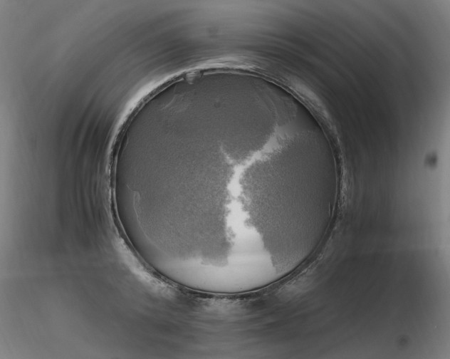 X0000116800800200912181316