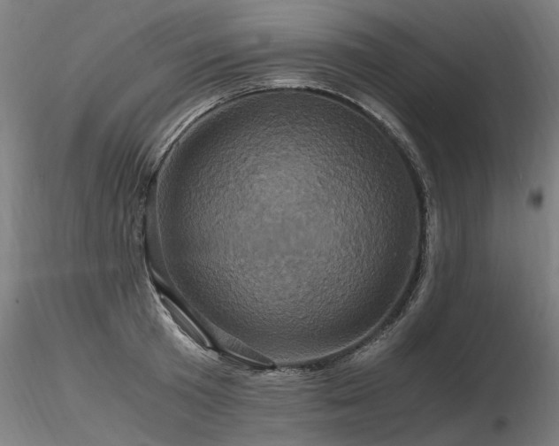 X0000116800801200912181316
