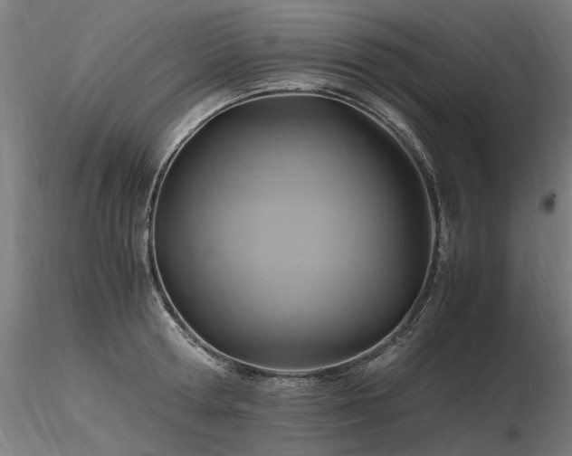 X0000116800802200912181316