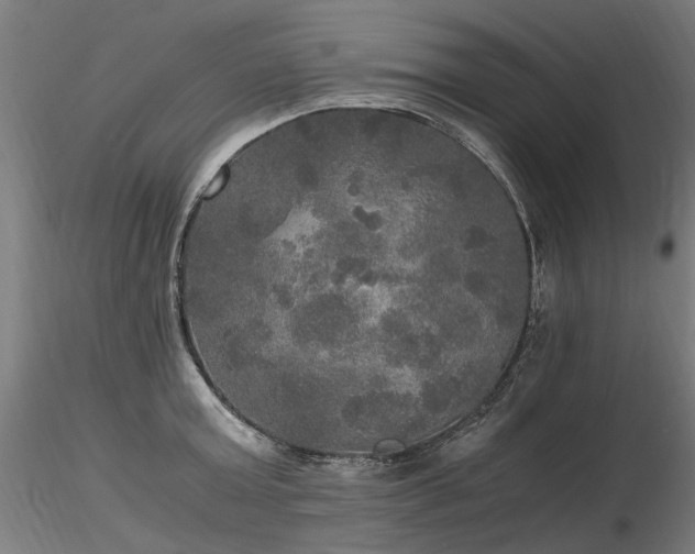 X0000116800803200912181316