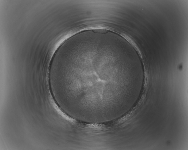 X0000116800805200912181316