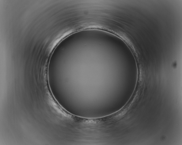 X0000116800806200912181316