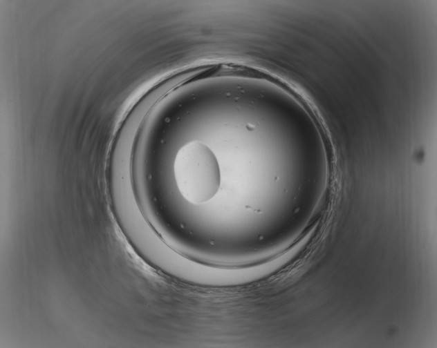 X0000116800807200912181316