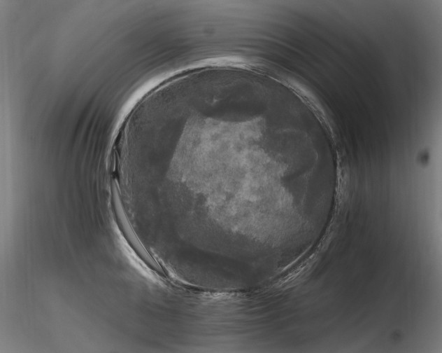 X0000116800808200912181316