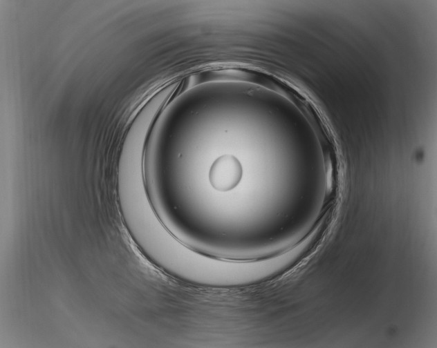 X0000116800809200912181316