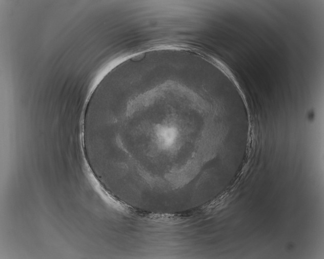 X0000116800811200912181316