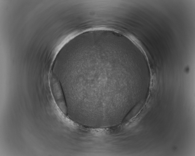 X0000116800813200912181316