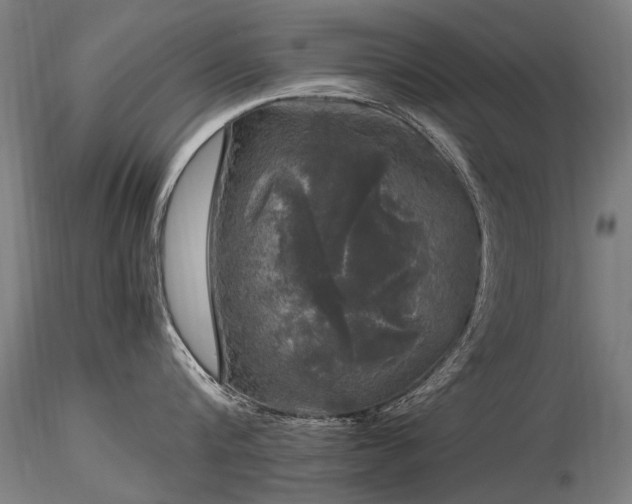 X0000116800816200912181316