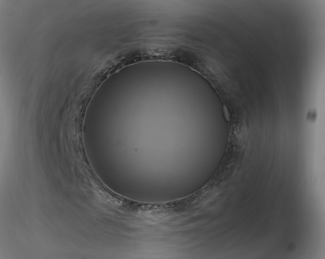 X0000116800817200912181315