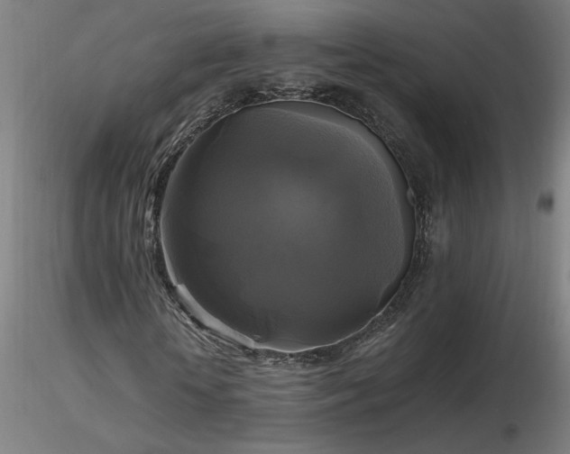 X0000116800818200912181315