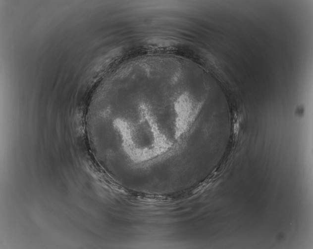 X0000116800819200912181315