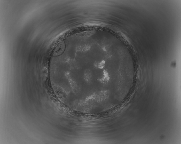 X0000116800821200912181315