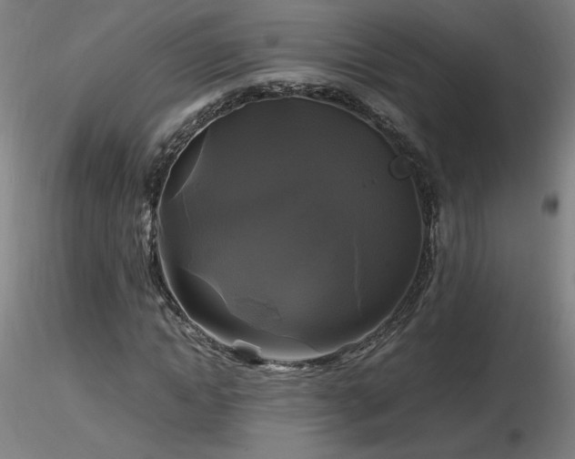 X0000116800822200912181315