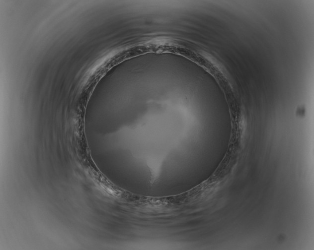 X0000116800823200912181315