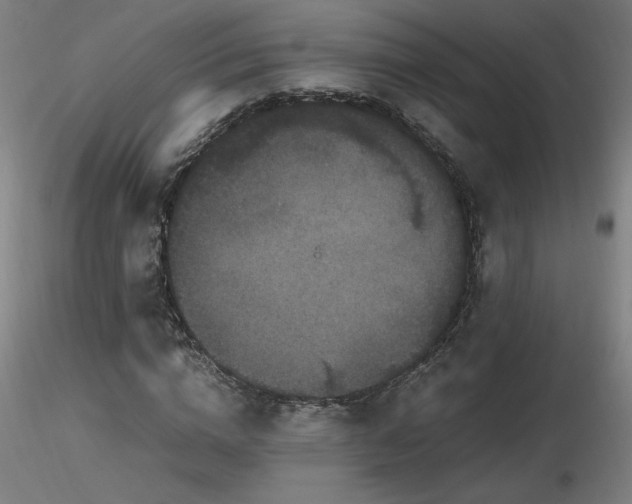 X0000116800824200912181315
